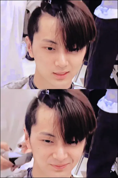 As-tu les cheveux longs ?