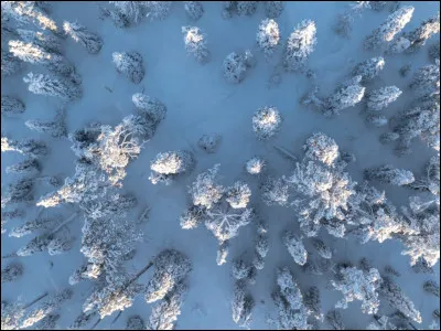 Comment le lièvre arctique sest-il adapté à la température glaciale du cercle polaire ?