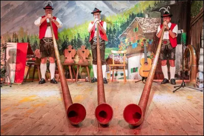 Le Tyrol est un land de l'Autriche de l'est.