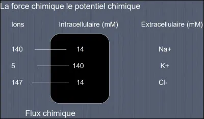 Quel est le bon schéma ?