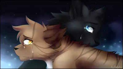 Dernière question : Es-tu proche de tes parents ?