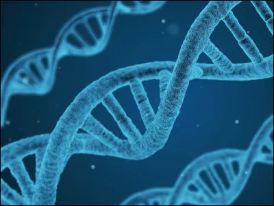 _____ et les humains partagent 50 % du même ADN. (Complète la phrase).