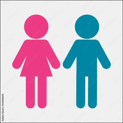 Êtes-vous un homme ou une femme ?