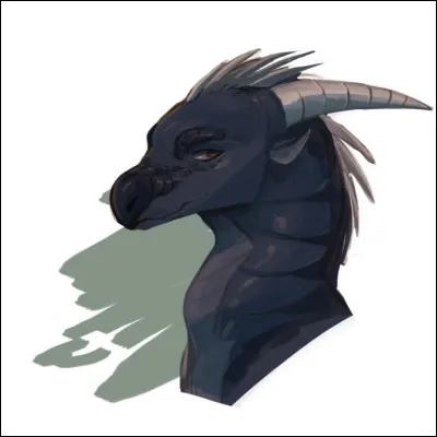 Difficile : la description exacte des Ailes de Nuit est :