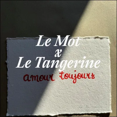 Lesquels de ces mots préfères-tu ?