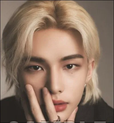 Hyunjin est considéré comme...