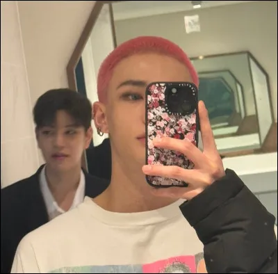 Hyunjin fait partie de...