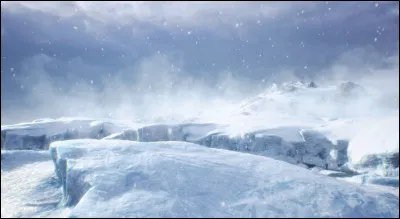 Le renard arctique possède une fourrure très épaisse, il peut supporter des températures négatives allant jusquà