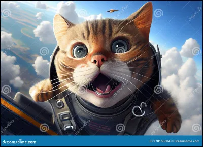 Ton heure est venue de devenir guérisseur. Feuille de Chêne te regarde avec amitié puis te dit qu'aujourd'hui, c'est la réunion de la Demi-Lune, pour les guérisseurs, et que tu vas peut-être avoir ton nom de guérisseur ! Quelle est ta réaction ?