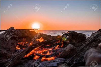 Bon, tu t'appelles maintenant Soleil de Cendres.
Deux lunes plus tard, Feuille de Chêne te demande de devenir son compagnon en secret. Quelle est ta réaction ?