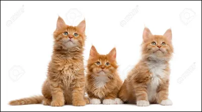 Ton entraînement se passe très bien ! Ton mentor te félicite. Tu te dis...