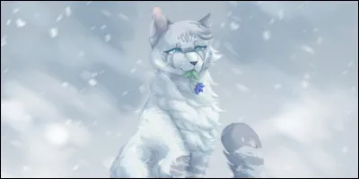 À quel moment les jeunes mâles doivent-ils partir ?