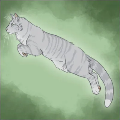 Comment sont élevés les petits de ce groupe de chattes ?