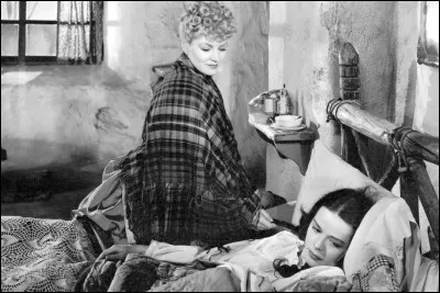 Quel genre de film est ''La Chevauchée fantastique'' ?