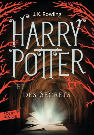 Quel est ce roman de J.K. Rowling dont Harry Potter est le personnage central ?