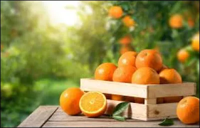 Quelle a été l'année de sortie de la chanson "L'Orange" interprétée par Gilbert Bécaud ?