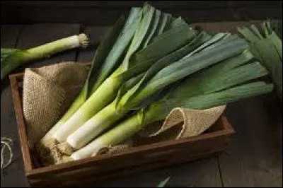 Quelle nation a pour symbole le poireau ?