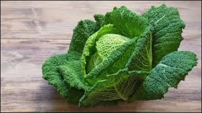 Qui joue l'extraterrestre venu de la planète Oxo dans le film culte "La Soupe aux choux" ?