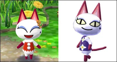 Quel est le nom de cette chatte ?