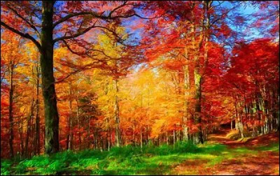 Avec la rose, quelle fleur dit quelque chose d'apr&egrave;s Mouloudji ?