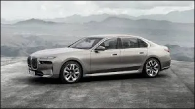 Quel est le nom de cette grande voiture grise ?