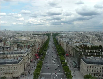 Quelle est cette avenue ?