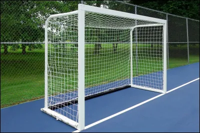 Quel joueur a réussi à inscrire 5 buts en 9 minutes seulement ?