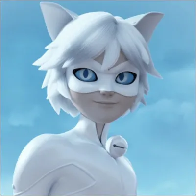 Combien de fois Adrien/Chat Noir a-t-il été akumatisé ?