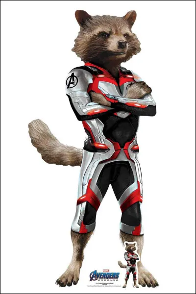 Quel est le prénom du raton laveur ?