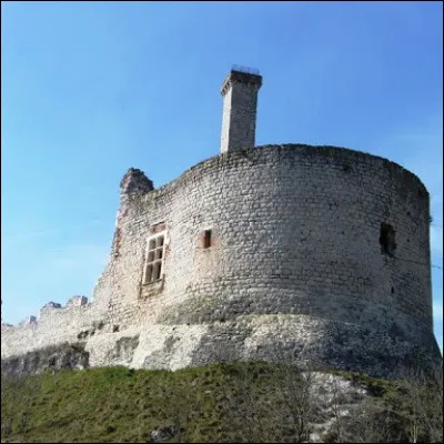 Quelle ville dOccitanie abrite le bourg fortifié de Castelviel et le château de Castelnau ?