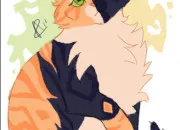 Quiz Moonpaw (LGDC)