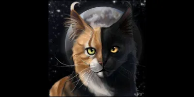 Qui est son mentor ?