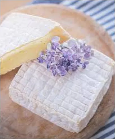 Quel est ce fromage, fabriqué principalement dans la vallée de la Touques, dans le Calvados ?