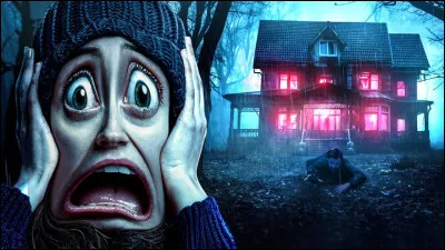 Quelle image préfères-tu ?