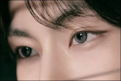 A qui appartiennent ces yeux ?