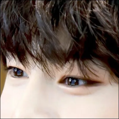 A qui sont ces yeux trop mignons ?