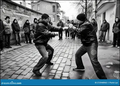 Est-ce que tu t'es déjà battu ?