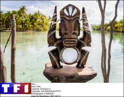 Si tu participais à Koh-Lanta, quel mot te définirait le mieux ?