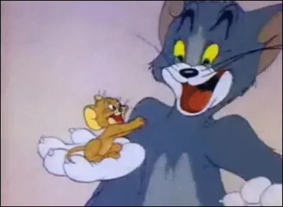 Comment sappelle ce duo animé composé dun chat et dune souris ?
