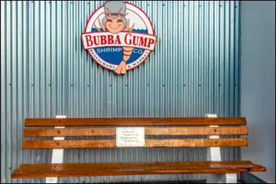 Dans quelle série découvre-t-on lamitié entre Forrest et Bubba ?