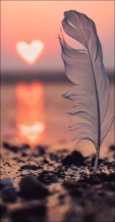 Quel prénom féminin préfères-tu entre ceux-là ?