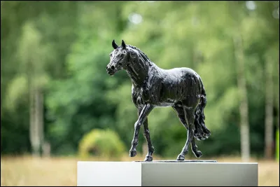 Comment s'appelle le poulain de Totilas ?