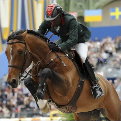 Quelle star de CSO (Concours de Saut d'Obstacles ) a marqué l'histoire en 1991 ?