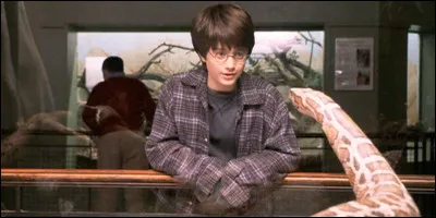 Quel est le serpent qui parle avec Harry.