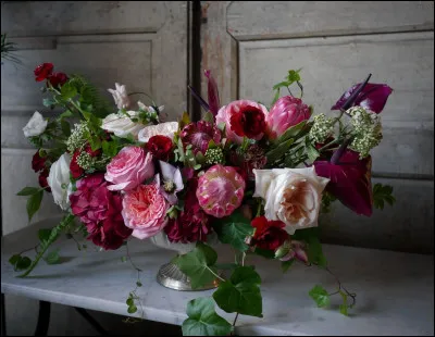 Quelle fleur préfères-tu ?