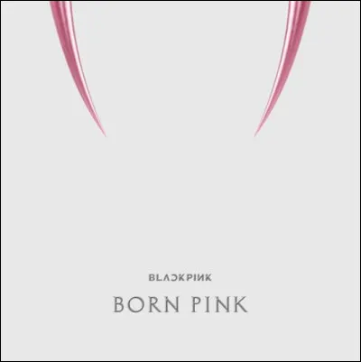 A quel groupe appartient cette pochette d'album ?