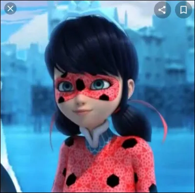 Combien de transformations (à l'aide des magicarons) a-t-on pu observer lors des 5 saisons actuelles ?