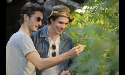 Quelle proposition te correspond le mieux parmi celles-ci ?