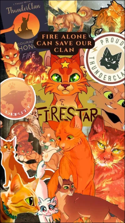 As-tu &eacute;t&eacute; plusieurs fois amoureux ou amoureuse ?