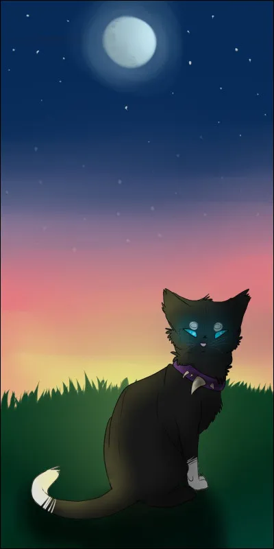 As-tu des demi-fr&egrave;res ou des demi-s�urs ?